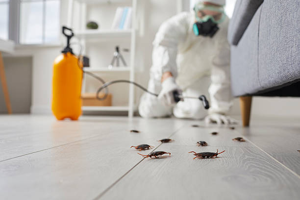 Commercial Kitchen Cockroach Control in Chillicothe